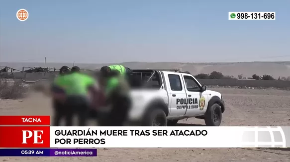 Guardián murió tras ser atacado por perros en Tacna. Foto: América Noticias