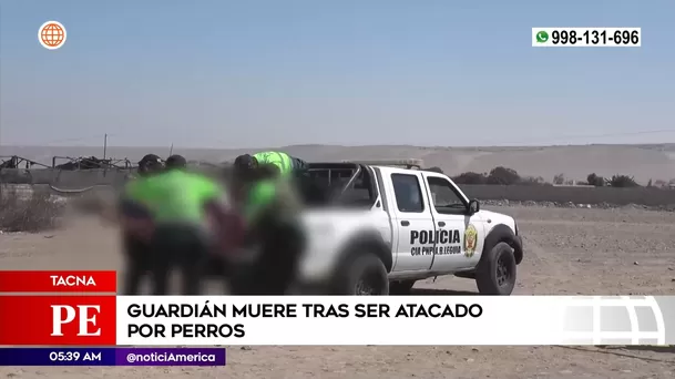 Guardián murió tras ser atacado por perros en Tacna. Foto: América Noticias