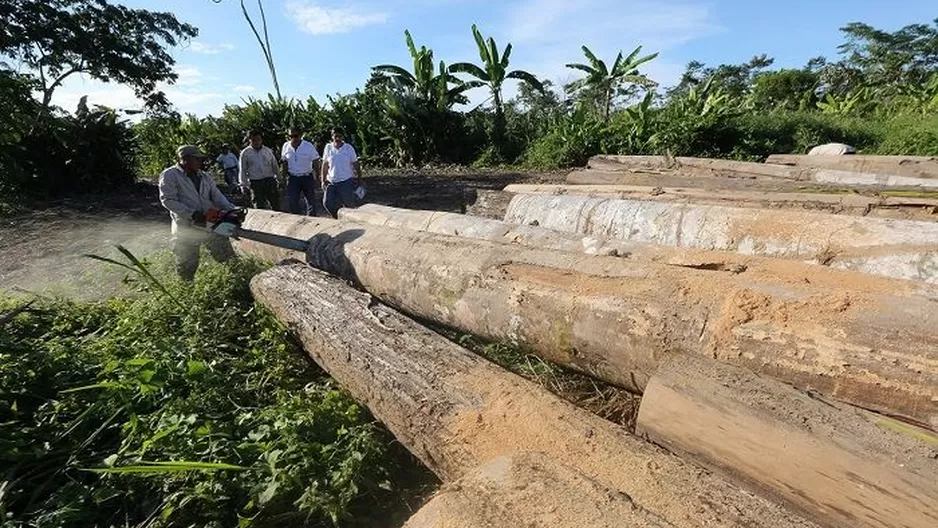 Operativo fue en zona considerada área natural protegida.