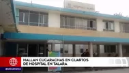 Talara: paciente denunció presencia de cucarachas en hospital de EsSalud