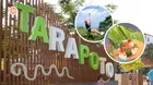 Tarapoto: Un viaje por la aventura y el sabor de la selva