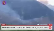 Tarma: Incendio forestal en Palca lleva más de 24 horas activo y arrasa cultivos y colmenas