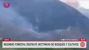 Un incendio forestal en el distrito de Palca, provincia de Tarma, región Junín, permanece activo desde hace más de 24 horas y ha afectado árboles de eucalipto, cultivos de papa, habas y flores, además de un colmenar de abejas. / Video: América Noticias