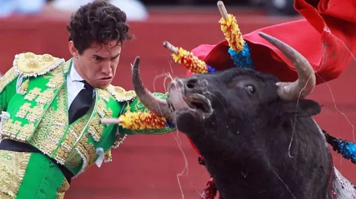 Buscan eliminar las corridas de toros en el país. Foto: Andina Buscan eliminar las corridas de toros en el país. Foto: Andina