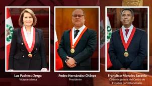 El Pleno del Tribunal Constitucional (TC) eligió por mayoría como nuevo presidente de la institución al magistrado Pedro Hernández Chávez. Foto: TC. Video: Canal N