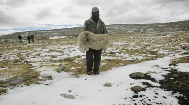 Bajas temperaturas se sentirán en el sur del Perú. Foto: El Comercio Bajas temperaturas se sentirán en el sur del Perú. Foto: El Comercio