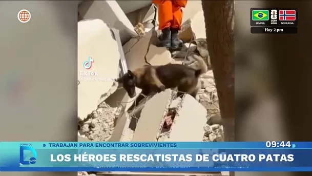 Fuente: Domingo Al Día