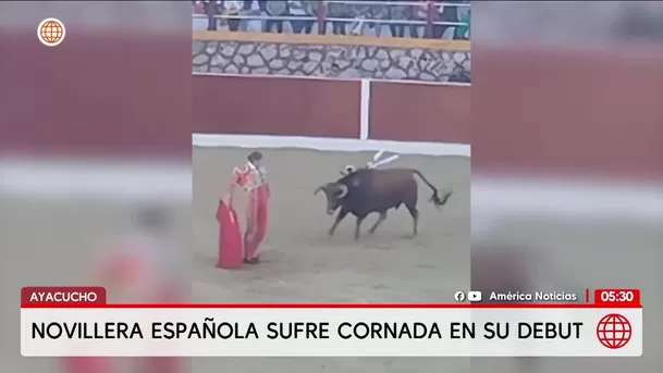 Novillera española sufre cornada en su debut en Ayacucho. Foto: América Noticias Novillera española sufre cornada en su debut en Ayacucho. Foto: América Noticias