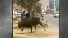 Toro escapa de camión y ataca patrullero de serenazgo