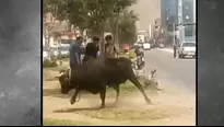 Ocurrió en la avenida Thomas Valle en Los Olivos