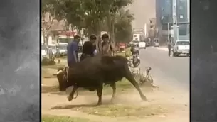 Ocurrió en la avenida Thomas Valle en Los Olivos