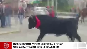 Toro fue arrastrado en Huamanga, Ayacucho.