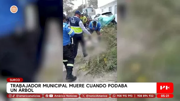 Trabajador muere al podar árbol con cables en Surco. Foto: América Noticias