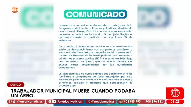 Trabajador muere al podar árbol con cables en Surco. Foto: América Noticias