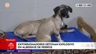 Trujillo: Extorsionadores detonan explosivo en albergue de perros