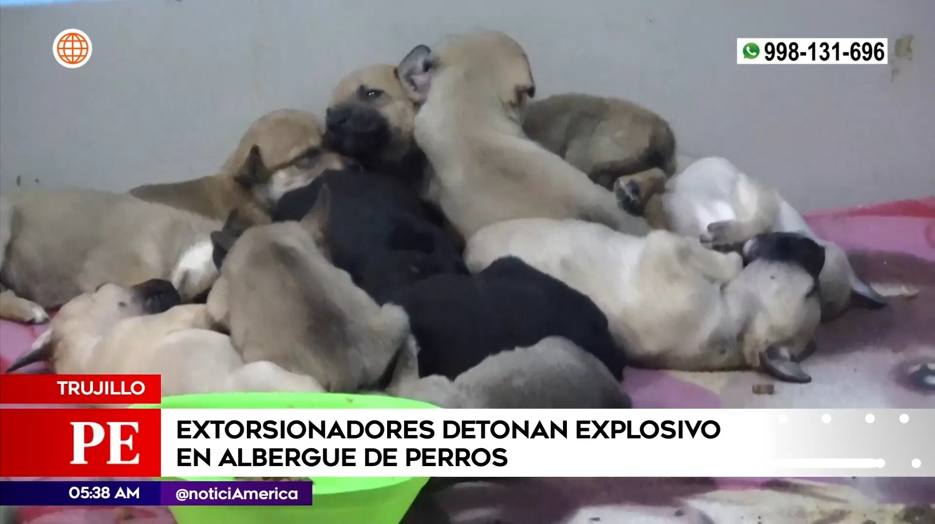 Detonan explosivo en albergue de perros en Trujillo. Foto: América Noticias