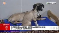 Detonan explosivo en albergue de perros en Trujillo. Foto y video: América Noticias