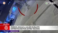 Mujer atacada por perros en Trujillo. Foto y video: América Noticias