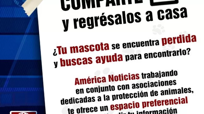 ¿Tu mascota se perdió? Entonces conoce la campaña "Comparte y Regrésalos a Casa" ¿Tu mascota se perdió? Entonces conoce la campaña "Comparte y Regrésalos a Casa"