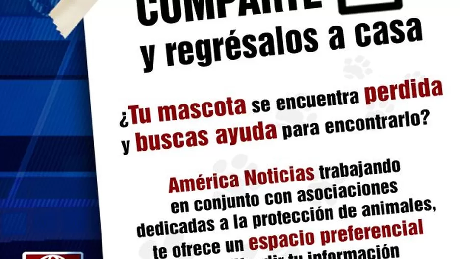 ¿Tu mascota se perdió? Entonces conoce la campaña "Comparte y Regrésalos a Casa"