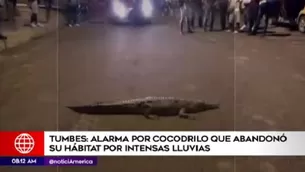 El hecho ocurrió en Tumbes. Foto: América TV