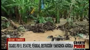 Cultivos destruidos por inundaciones en Tumbes. Foto: América Noticias