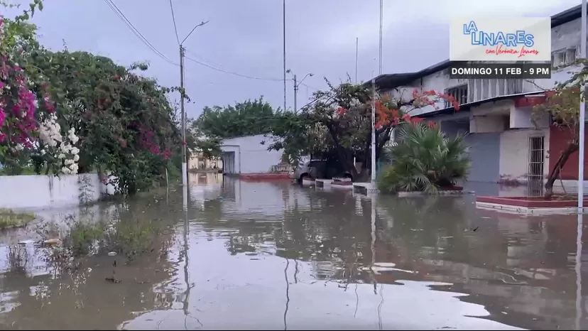 Tumbes: Intensas lluvias y aniegos azotan la región