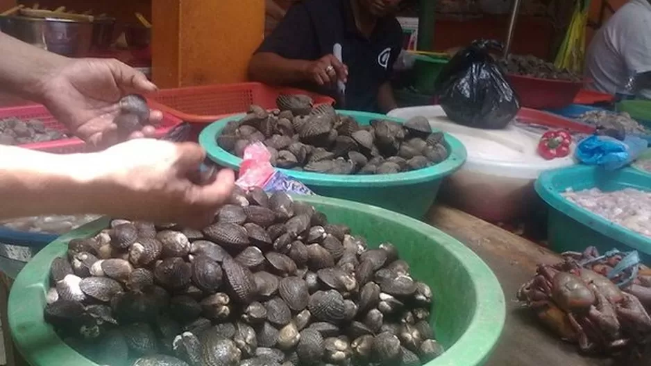 En total fueron 5 mil 720 conchas negras que iban a ser vendidas. Foto: difusión