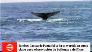 Canoas de Punta Sal se ha convertido en un nuevo punto de turismo de avistamiento de ballenas