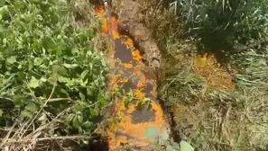 Derrame de aceite de palma afecta un canal de agua en el distrito de Campoverde, Ucayali. Video: Canal N