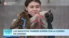 Ucrania: Mascotas también sufren los estragos de la guerra 