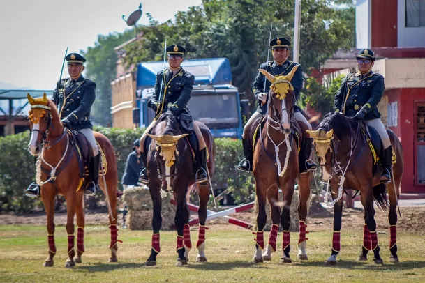 Caballos utilizados por la Policía - Fuente: Andina