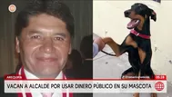 Vacan al alcalde de Arequipa por usar dinero público en mascota