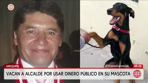 Vacan al alcalde de Arequipa Víctor Hugo Rivera por usar dinero público en mascota. Foto y video: América Noticias