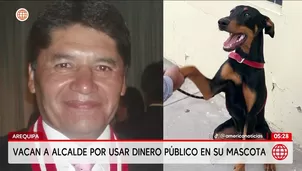 Vacan al alcalde de Arequipa Víctor Hugo Rivera por usar dinero público en mascota. Foto y video: América Noticias