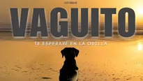 La película 'Vaguito' es un llamado a la conciencia. / Video: Canal N