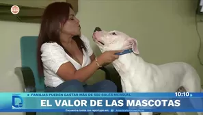 Foto y video: América Noticias