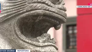 Colmillos robados. Canal N