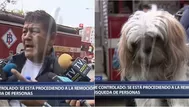 Incendio en la avenida Abancay: vecino recuperó a su mascota tras siniestro