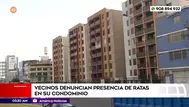 Vecinos denuncian presencia de ratas en condominio en Los Olivos