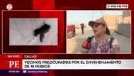 Vecinos preocupados por envenenamiento de 18 perros en el Callao