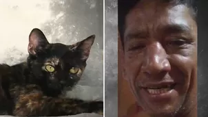 Fernando Moreno es acusado de agredir salvajemente a una gatita en Ventanilla - Foto y video: América Noticias