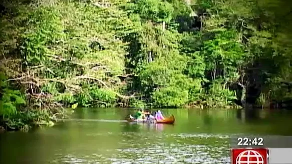 COP 20: la importancia de los bosques en el Perú 