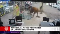 Cámaras de vigilancia captaron las embestidas del animal.