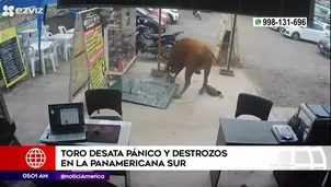 Cámaras de vigilancia captaron las embestidas del animal.