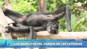 Foto y video: América Noticias