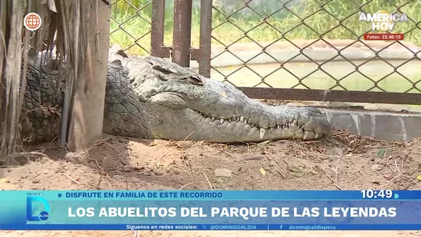 Fuente: Domingo Al Día Fuente: Domingo Al Día