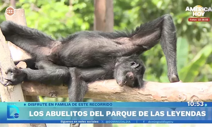 La vieja guardia del Parque de Las Leyendas y su legado