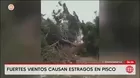 Vientos Paracas provocan estragos y emergencias en Pisco