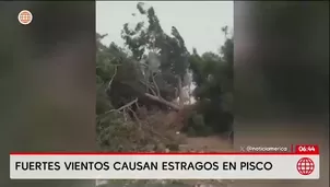 Vientos Paracas provocan estragos y emergencias en Pisco/ Video y Foto: América Noticias